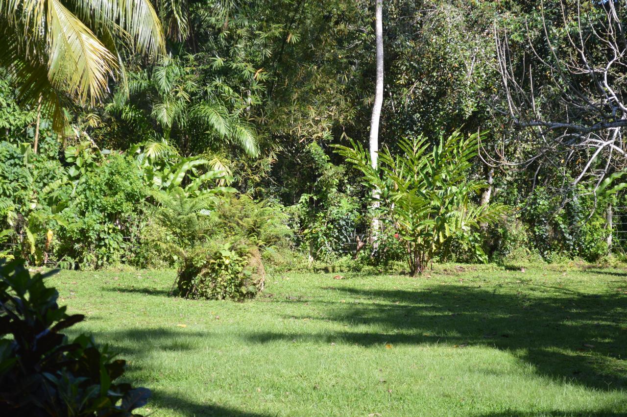 Casita Amarilla Villa Cahuita Kültér fotó