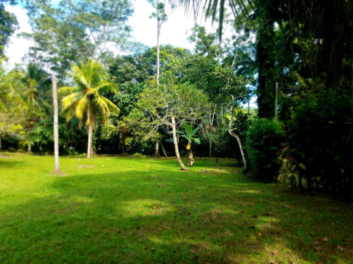 Casita Amarilla Villa Cahuita Kültér fotó